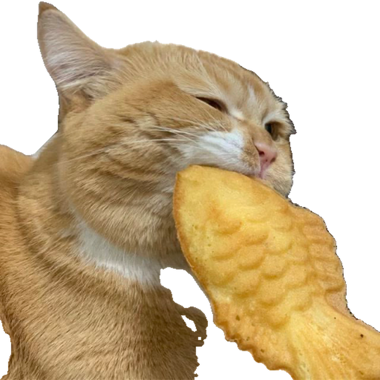 Chippy with half-closed eyes, biting a golden fish-shaped snack